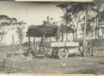 Black and White photograph.  1930 Morrison - Doodlakine.  Construction of thatched wash house