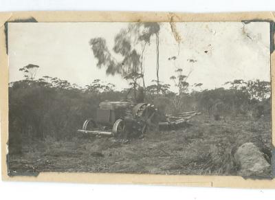 Black and white photograph - 1929 Scrub Roller.  Morrison - Doodlakine