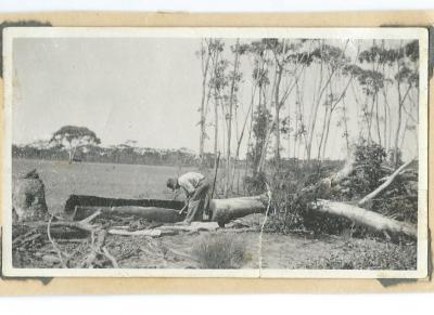 Black and white photograph - 1932 Making log trough.  Morrison - Doodlakine