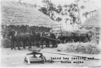 Black and white photograph. Horse team and Hay stack. Laird property