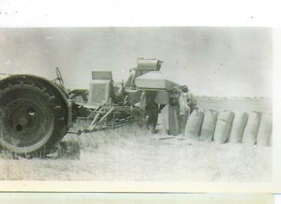 Black and White photograph Harvesting and Bagging grain