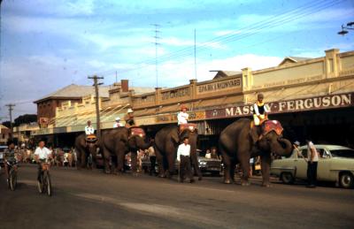 6 slides showing elephant race down Massingham Street, Kellerberrin in 1964 when circus came to town