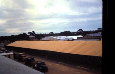 3 Slides showing views of Doodlakine from CBH Grain Silos