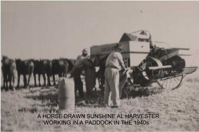 Black and White photograph - A horse drawn sunshine AL Harvester working in a paddock in the 1940's