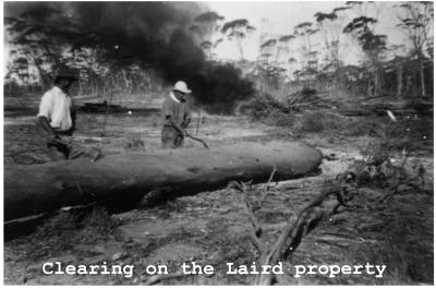 Black and White photograph.  Clearing on the Laird property