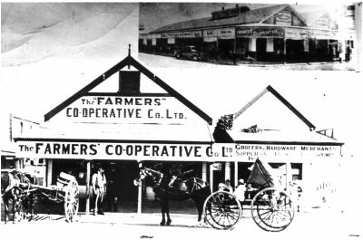 Black and White photograph. Kellerberrin Farmers Co-op Co Ltd.  Horse and Buggies Outside