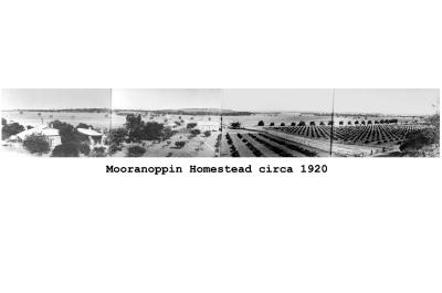 Black and White photograph.   Mooranoppin Homestead