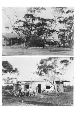 4 Black and White photographs The Paynter farm between Doodlakine years later Morison's are building their first farm house