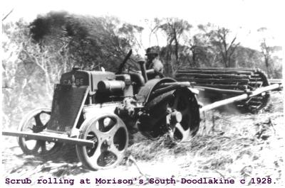Black and White photograph.  Land clearing on the Morrison Farm