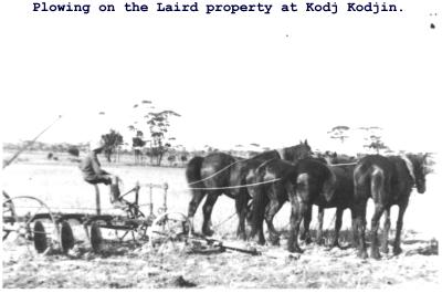 Black and White photograph.  Plowing on the Laird property at Kodj Kodjin