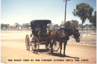 Colour photograph.  The buggy used by the Convent Sisters until the 1950's. Buggy being driven by Ernie and Connie Barnes