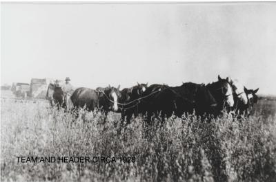 Black and White photograph.  Team and Header - Marchants property