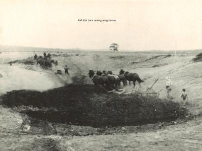 DAM SINKING USING HORSES