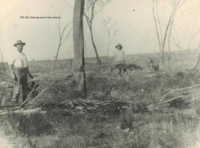 TREE CLEARING 1920S ?