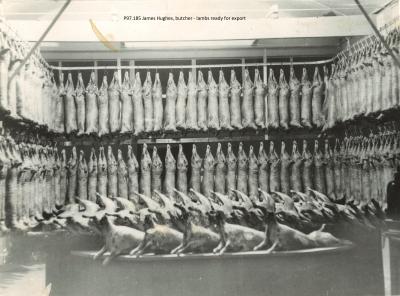 JAMES HUGHES - BUTCHER. LAMBS READY FOR EXPORT.