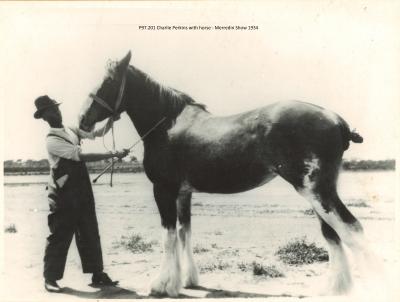 CHARLIE PERKINS WITH HORSE AT MERREDIN SHOW 1934