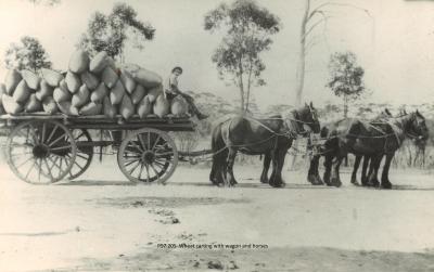 WHEAT CARTING WITH WAGON & HORSES