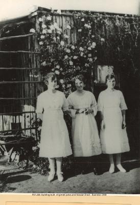 BUILDING BUILT OF GIMLET POLES --BAANDEE 1908