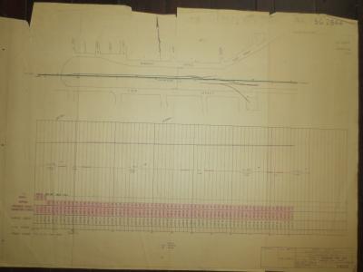 PLAN MERREDIN YARD --OLD STANDARD GUAGE GRADING