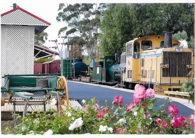 VIEW OF LOCOMOTIVES FROM ROSE GARDEN