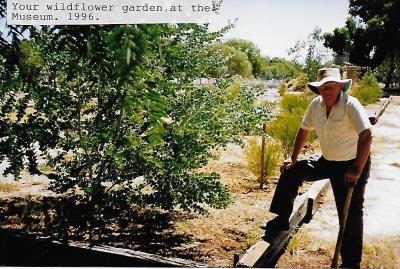 SETTING UP WILDFLOWER GARDEN AT THE MUSEUM