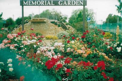 PIONEER WOMENS ROSE GARDEN SPRING 2003