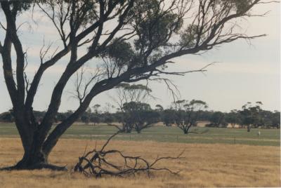 WISALTS Consultants Field Day at Quairading, Western Australia, Australia - 024