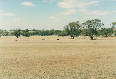 Property of LG (Laurie) and PE (Pat) Adamson, 'The Granites', Dangin, Western Australia, Australia - 014