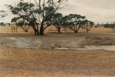 Property of LG (Laurie) and PE (Pat) Adamson, 'The Granites', Dangin, Western Australia, Australia - 039