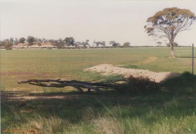 Property of LG (Laurie) and PE (Pat) Adamson, 'The Granites', Dangin, Western Australia, Australia - 053