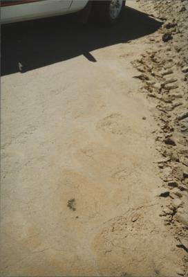 Property of LG (Laurie) and PE (Pat) Adamson, 'Sunny Brae', Dangin, Western Australia, Australia - 011