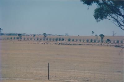 Property of LG (Laurie) and PE (Pat) Adamson, 'Sunny Brae', Dangin, Western Australia, Australia - 046