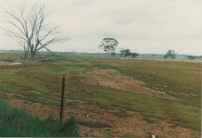 Property of LG (Laurie) and PE (Pat) Adamson, 'Sunny Brae', Dangin, Western Australia, Australia - 047