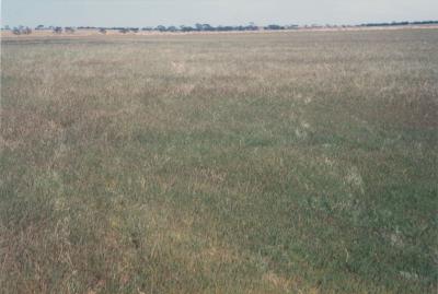 Property of LG (Laurie) and PE (Pat) Adamson, 'Sunny Brae', Dangin, Western Australia, Australia - 056