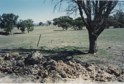 Property of LG (Laurie) and PE (Pat) Adamson, 'Sunny Brae', Dangin, Western Australia, Australia - 061