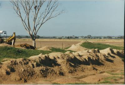 Property of LG (Laurie) and PE (Pat) Adamson, 'Sunny Brae', Dangin, Western Australia, Australia - 070