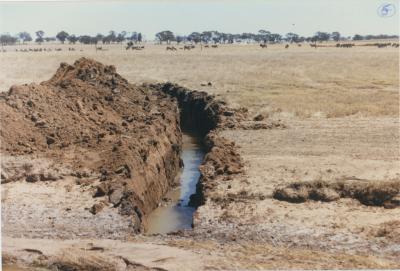 Property of LG (Laurie) and PE (Pat) Adamson, 'Sunny Brae', Dangin, Western Australia, Australia - 077