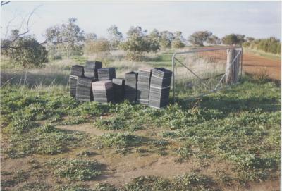 Property of LG (Laurie) and PE (Pat) Adamson, 'Sunny Brae', Dangin, Western Australia, Australia - 088