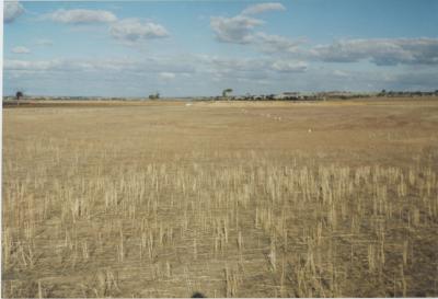 Property of LG (Laurie) and PE (Pat) Adamson, 'Sunny Brae', Dangin, Western Australia, Australia - 091