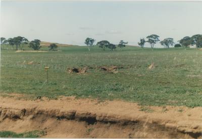 Property of LG (Laurie) and PE (Pat) Adamson, 'Sunny Brae', Dangin, Western Australia, Australia - 094