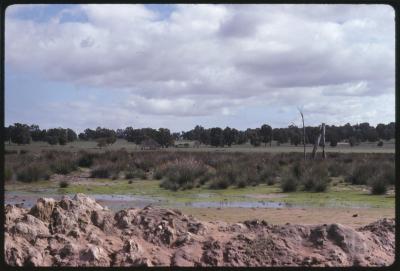 CBH Brookton, Brookton, Western Australia, Australia - 004