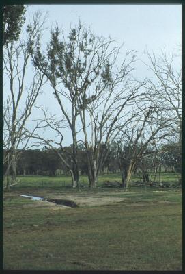 CBH Brookton, Brookton, Western Australia, Australia - 005