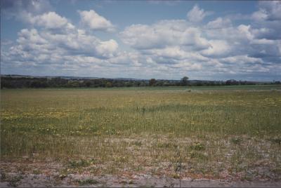 Brookton, Western Australia, Australia - 001