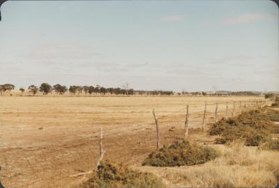 Property of Stacey and Clemens, Quairading, Western Australia, Australia - 001