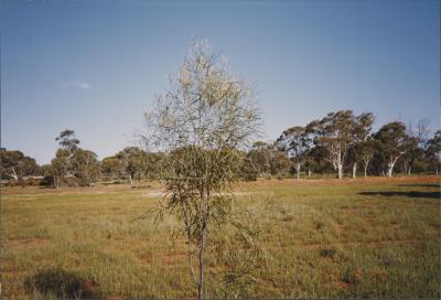 Property of MJ (Mike) and LA (Julie) Daley, Brookton, Western Australia, Australia - 014