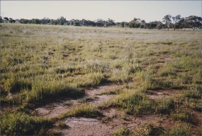 Property of MJ (Mike) and LA (Julie) Daley, Brookton, Western Australia, Australia - 021