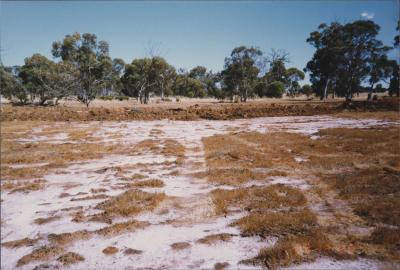 Property of MJ (Mike) and LA (Julie) Daley, Brookton, Western Australia, Australia - 001