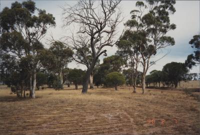 Brookton, Western Australia, Australia - 024