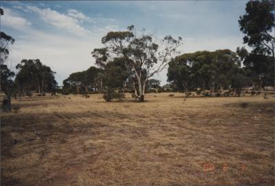Brookton, Western Australia, Australia - 027