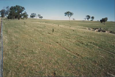 Property of WK (Ken) and JE (June) Clancy, 'Mount View', Gunning, New South Wales, Australia - 101